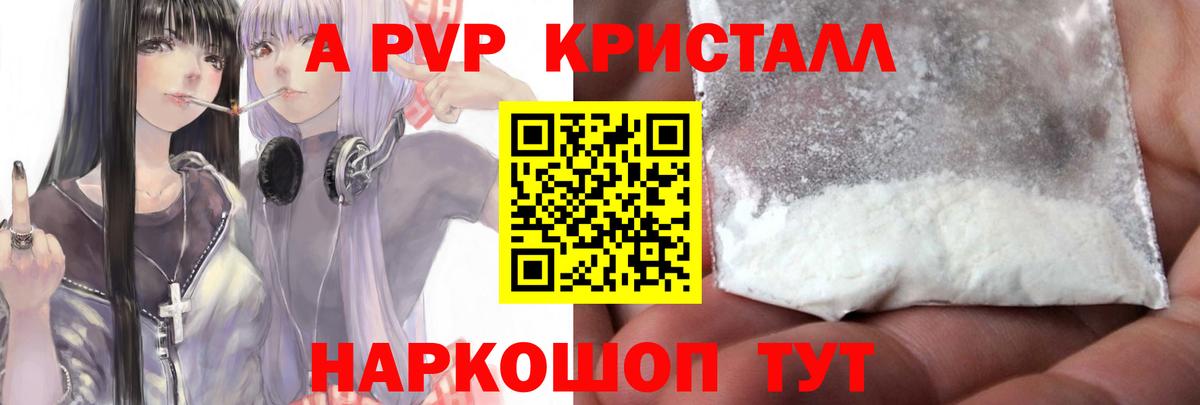 Альфа ПВП СК Сунжа