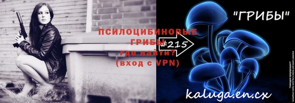 PSILOCYBIN Алзамай