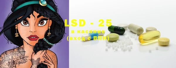 PSILOCYBIN Алзамай