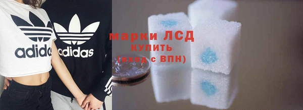 PSILOCYBIN Алзамай