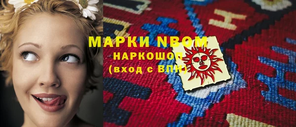 PSILOCYBIN Алзамай