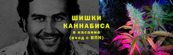 PSILOCYBIN Алзамай