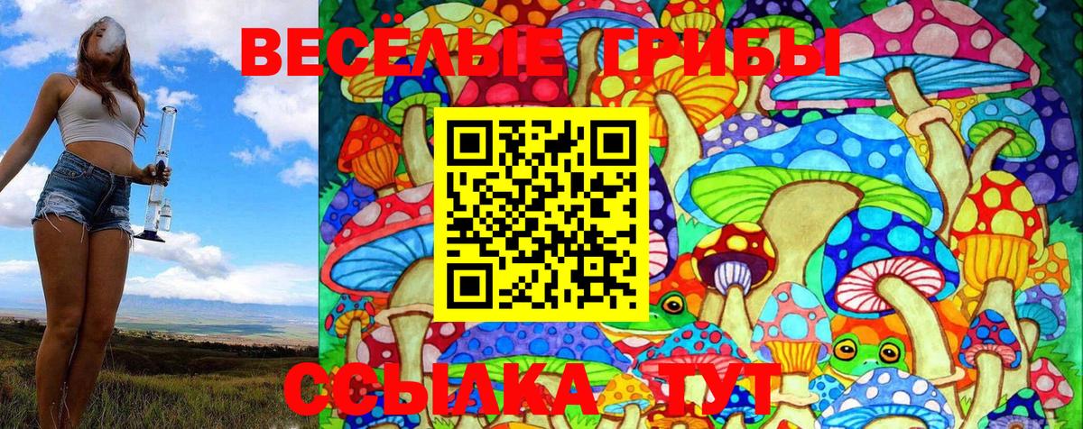 Псилоцибиновые грибы Magic Shrooms  Галлюциногенные грибы прущие грибы  закладки  Вход с VPN  Сунжа 